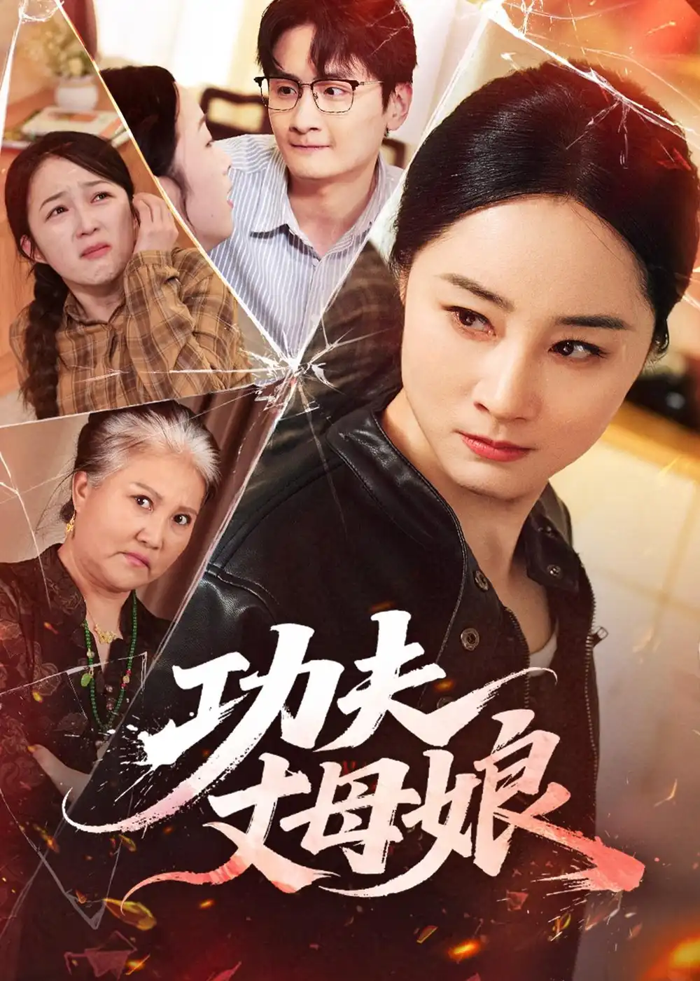 功夫丈母娘全集