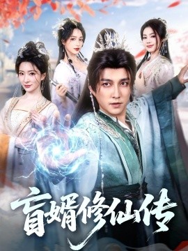 盲婿修仙传全集