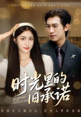 时光里的旧承诺 重逢是场盛大告白全集