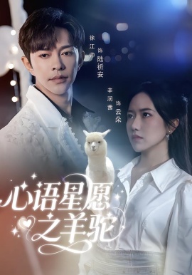 心语星愿之羊驼全集