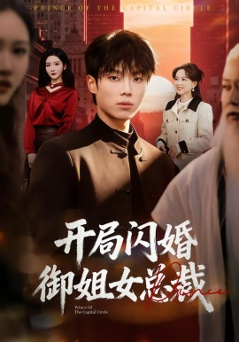 开局闪婚御姐女总裁全集