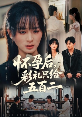 怀孕后，彩礼只给五百二全集