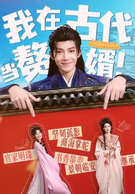 我在古代当赘婿全集