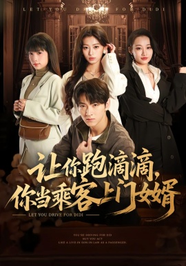 让你跑滴滴，你当乘客上门女婿全集