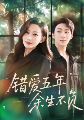 错爱五年，余生不负全集