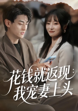 花钱就返现：我宠妻上头全集