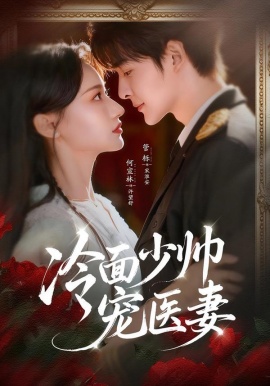 冷面少帅宠医妻全集