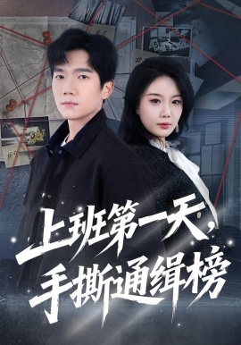 上班第一天，手撕通缉榜全集