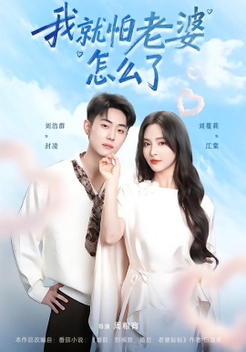 我就怕老婆怎么了全集