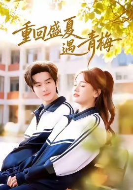 重回盛夏遇青梅全集