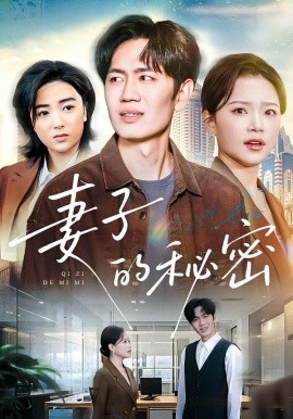 妻子的秘密全集