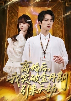离婚后，我突破金丹期，引来天劫全集