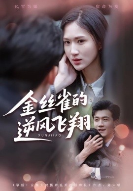 金丝雀的逆风飞翔全集