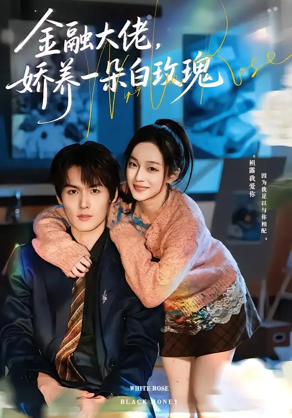 金融大佬，娇养一朵白玫瑰全集