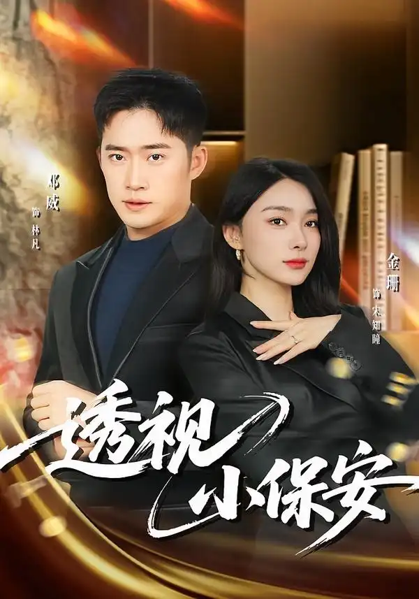 透视小保安全集