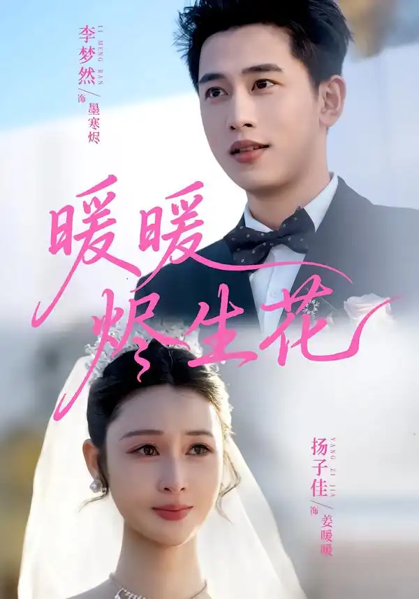 暖暖烬生花全集