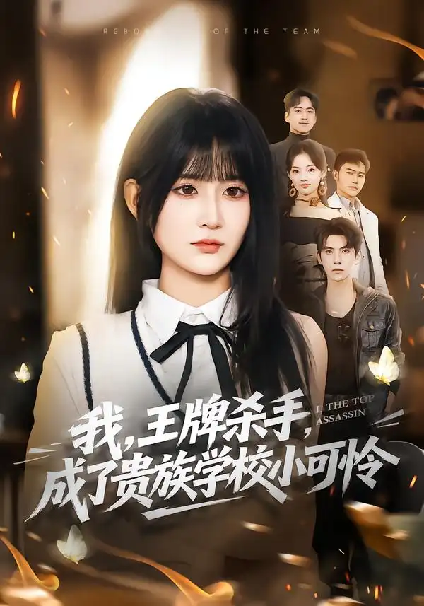 我，王牌杀手，成了贵族学校小可怜全集