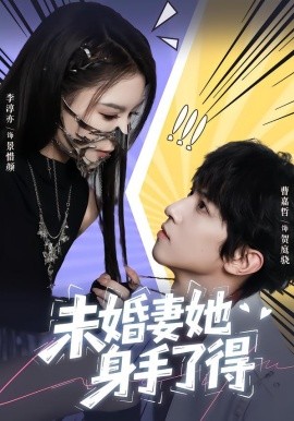 未婚妻她身手了得全集