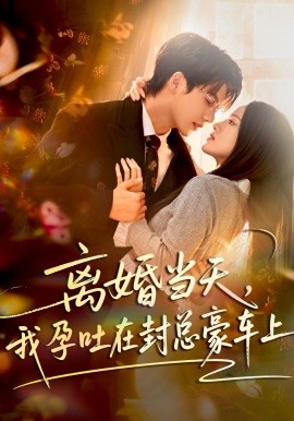 离婚当天，我孕吐在封总豪车上全集