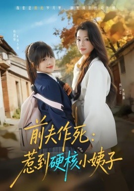 前夫作死惹到硬核小姨子全集