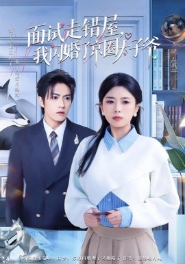 面试走错屋，我闪婚了京圈太子爷全集