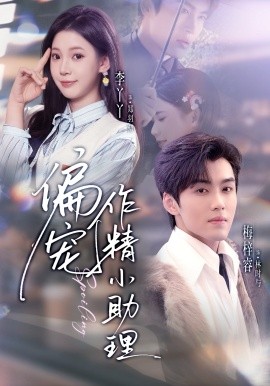 偏宠作精小助理全集