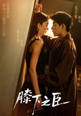 膝下之臣全集