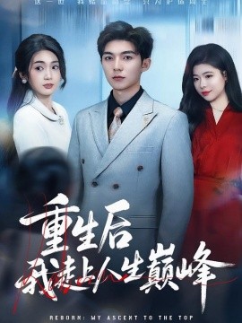 重生后我走上人生巅峰全集