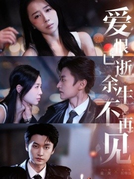 爱恨已逝，余生不再见全集