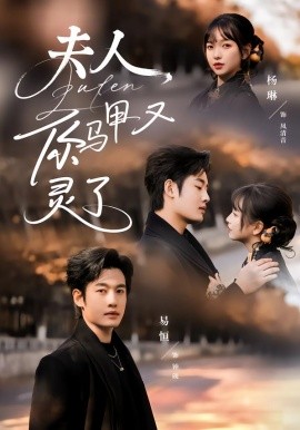 夫人你马甲又灵了全集