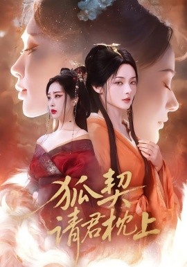 狐契：请君枕上全集