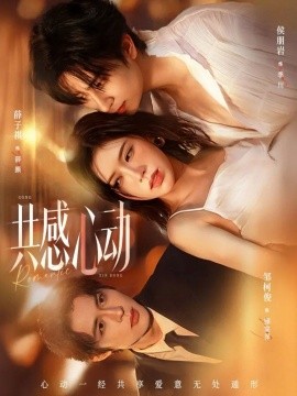 共感心动全集