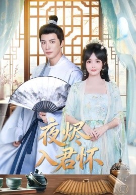 夜烬入君怀全集