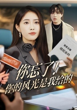 你忘了！你的风光是我给的全集