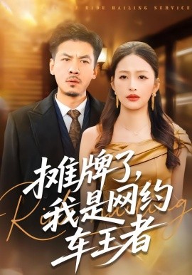 摊牌了，我是网约车王者全集