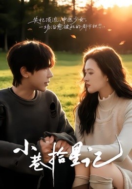 小巷拾星记全集