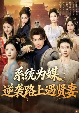 系统为媒逆袭路上遇贤妻全集