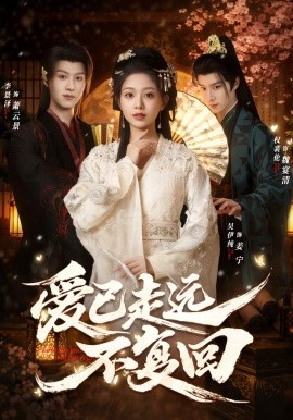 爱已走远不复回全集