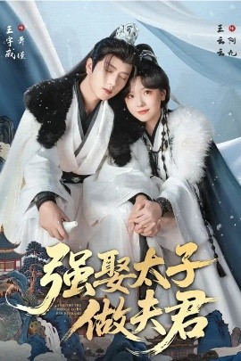 强娶太子做夫君全集