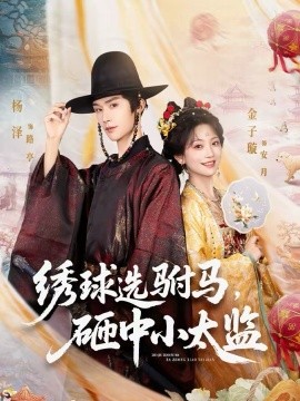 绣球选驸马，砸中小太监全集