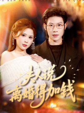 夫人说离婚得加钱全集