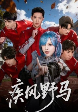 疾风野马全集