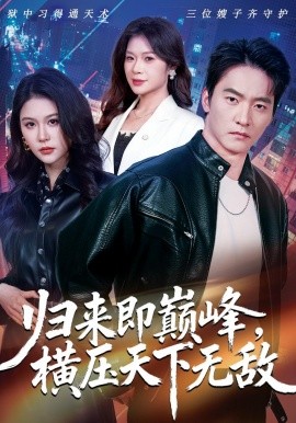归来即巅峰，横压天下无敌全集