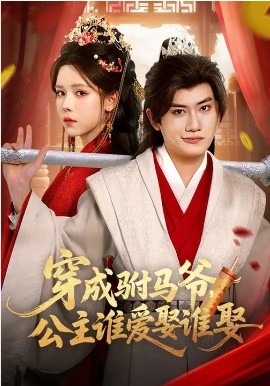 穿成驸马爷，公主谁爱娶谁娶全集