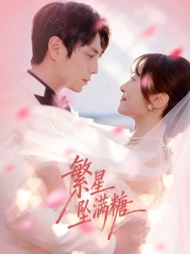 繁星坠满糖全集