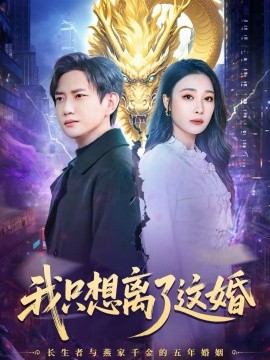 我只想离了这婚全集