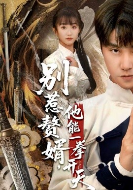 别惹赘婿，他能一拳开天 假面赘婿，出手定乾坤全集