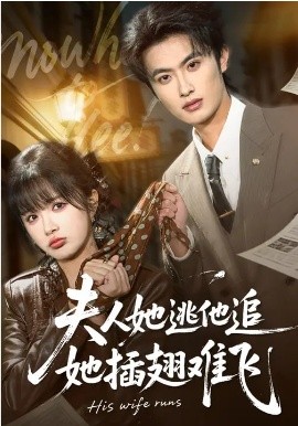 夫人她逃他追，她插翅难飞全集