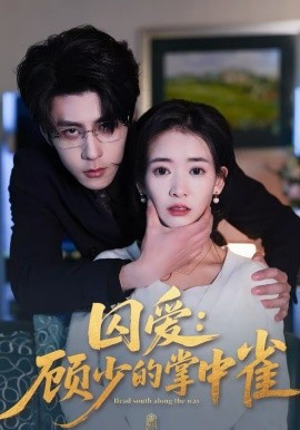 囚爱：顾少的掌中雀全集