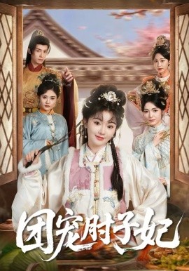 团宠肘子妃全集